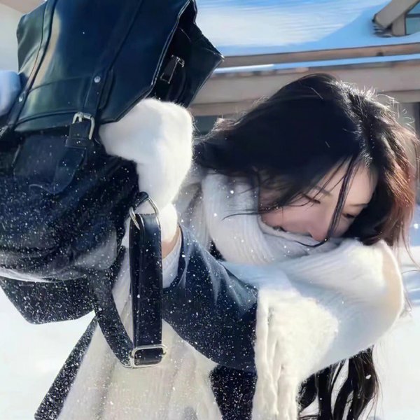 柳叶摘星辰